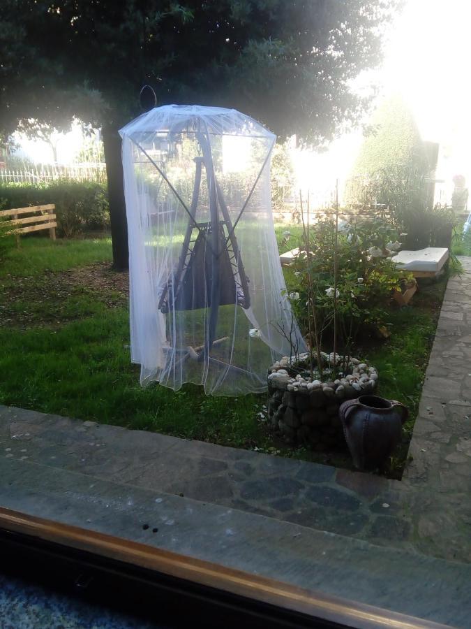 Limon D'Oro Villa Monte San Savino Bagian luar foto